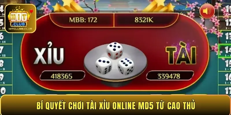 Bí quyết chơi tài xỉu online MD5 từ cao thủ