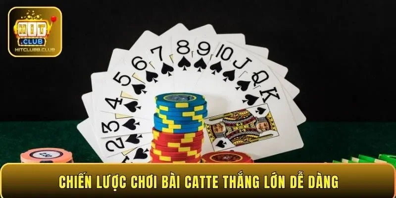 Chiến lược chơi bài Catte thắng lớn dễ dàng